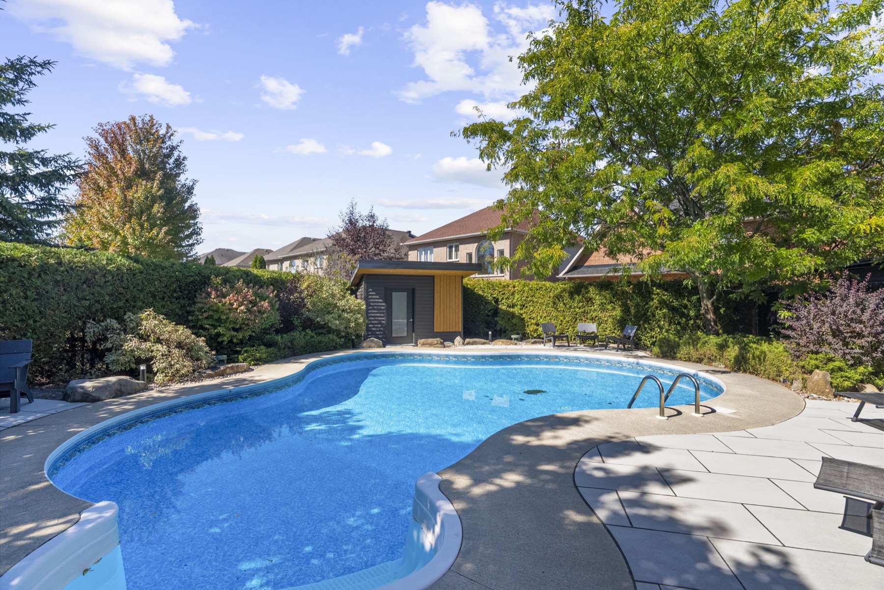 Completed backyard project with pool, patio, and landscaped borders.