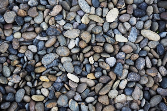 Rounded riverwash stones installed as decorative landscape ground cover.